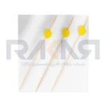 فروت پیک سوزنی طرح قلب