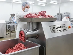 چرخ گوشت صنعتی چیست