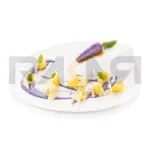قالب گارنیش