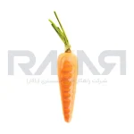 قالب گارنیش