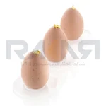 قالب سیلیکونی