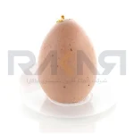 قالب سیلیکونی