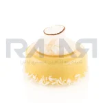 قالب سیلیکونی