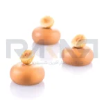 قالب سیلیکونی