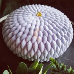 قالب سیلیکونی سه بعدی