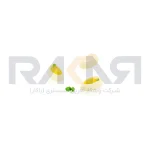 قالب سیلیکونی JUDI 40