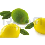 قالب سیلیکونی