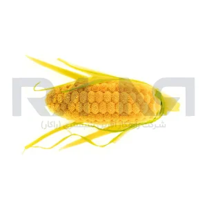 قالب گارنیش Pannocchia 20