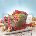 قالب سیلیکونی