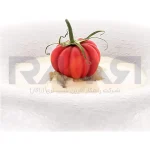 قالب گارنیش