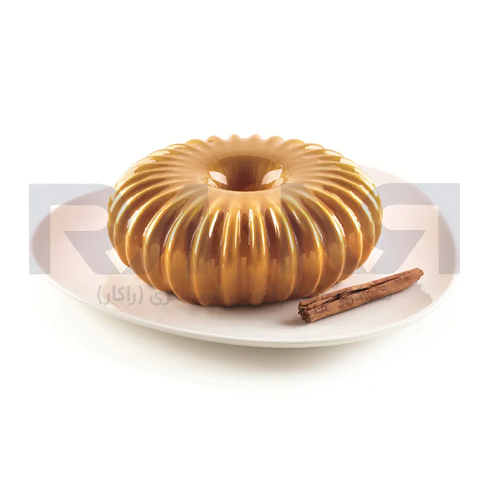 RAGGIO 3D silicone mold قالب سیلیکونی سه بعدی RAGGIO