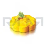 قالب سیلیکونی