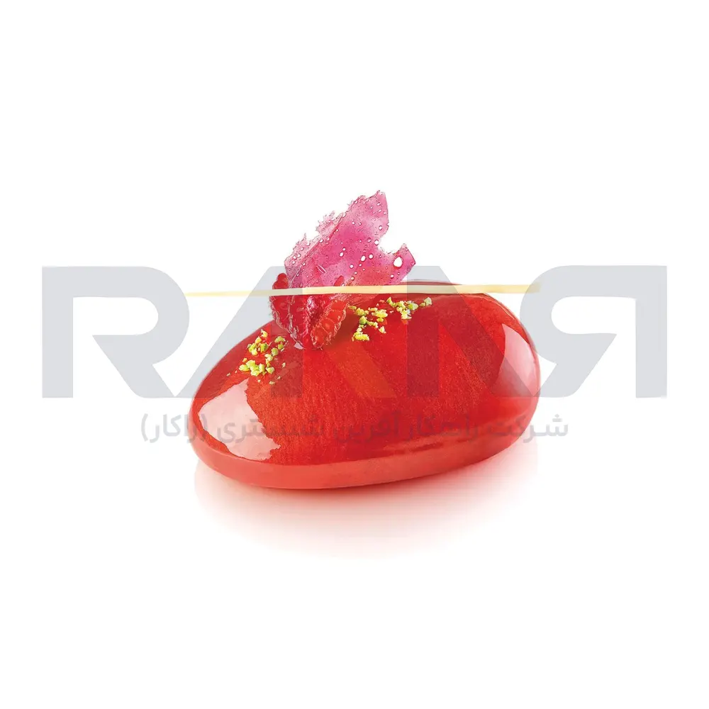 Zen 300 silicone mold قالب سیلیکونی Zen 300