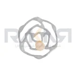 خاتون پنجره ای گل رز