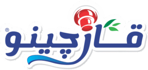 فست فود قارچینو