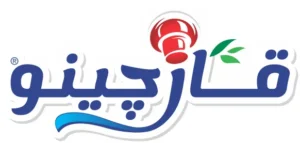 فست فود قارچینو
